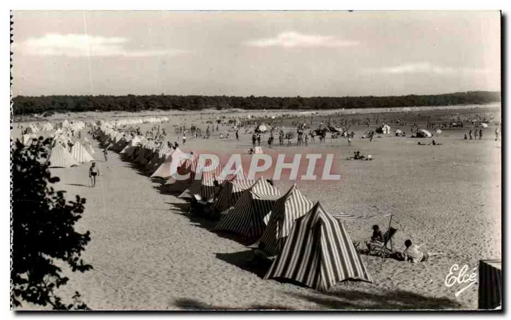 Saint-Georges-de-Diddonne — praia animada — Élise - Frente