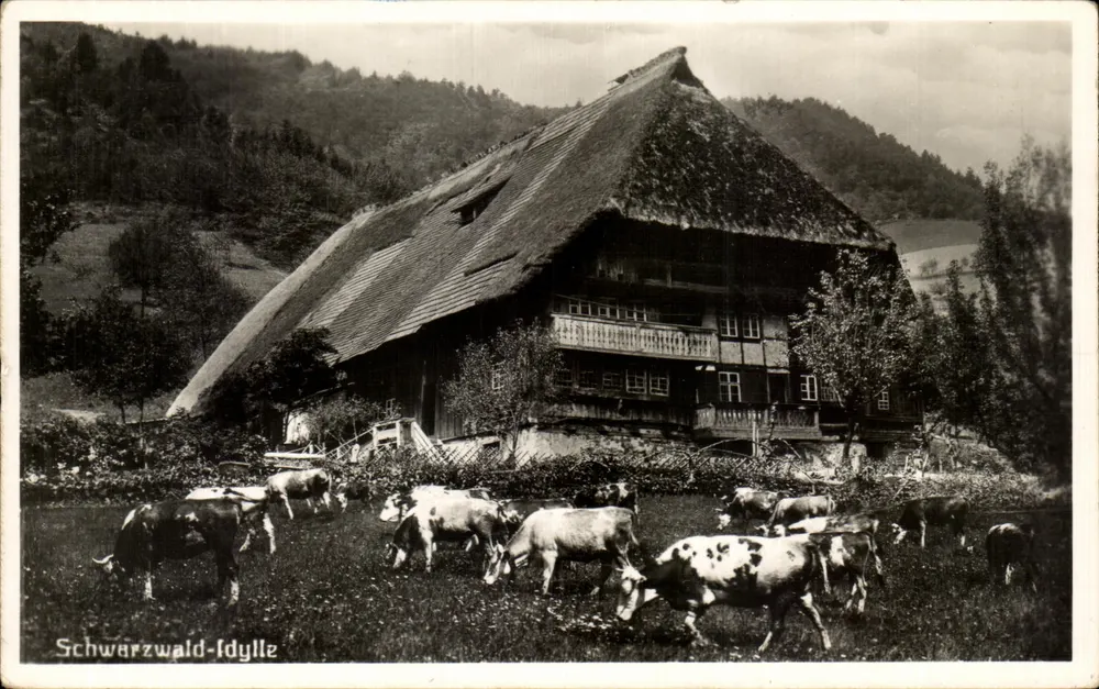 Idílio do Schwarzwald — casa com telhado de colmo com vacas — Metz Fotokarten, Tübingen - Frente