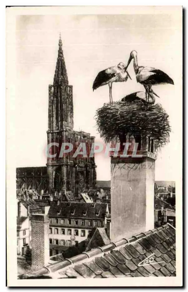 Strasbourg — As Cigarras — editor « REAL-PLI » n° (48) - Frente