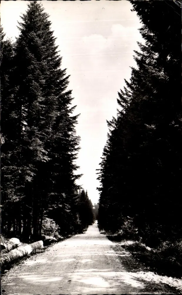 Caminho na floresta — La Franche-Comté Pittoresque — Chalet das Cataratas do Ouriço - Frente