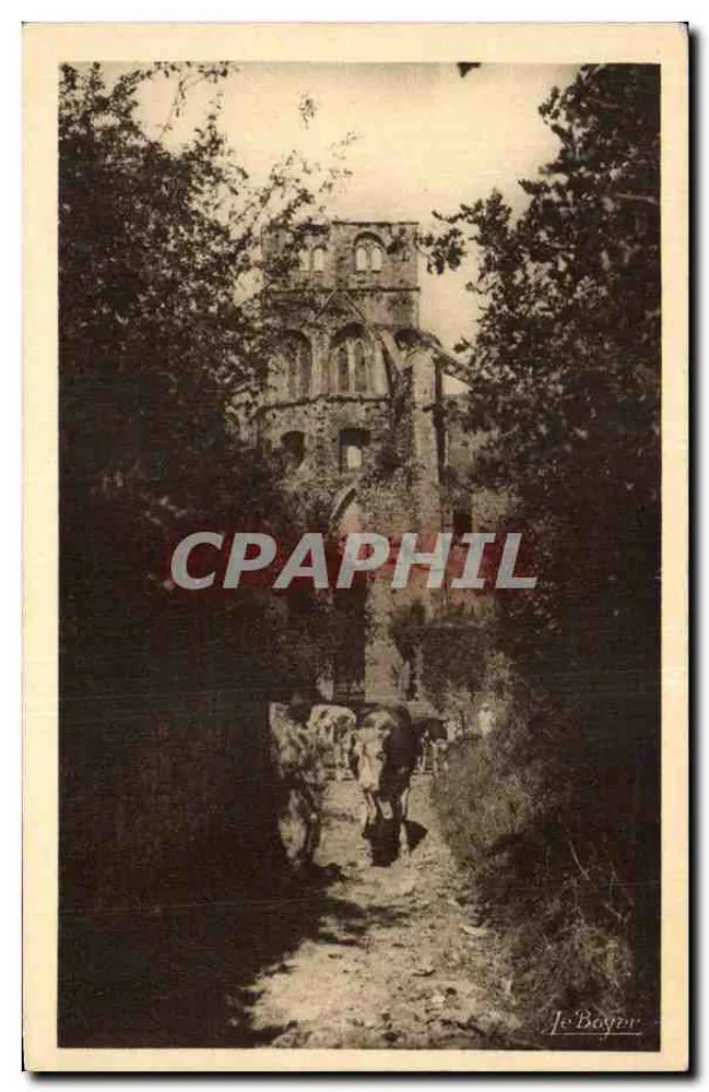 Ruínas de um castelo — Caminho com vacas — Je Bagan - Frente