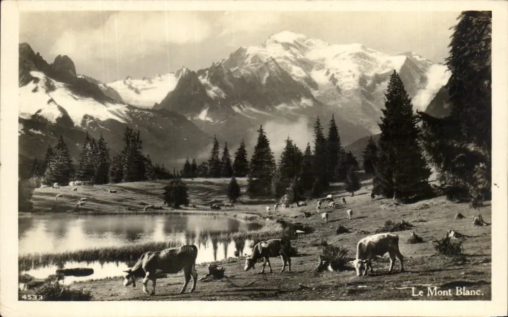 O Mont Blanc — vista alpina com vacas e lago — Éditions Barri, n° 4533 - Frente