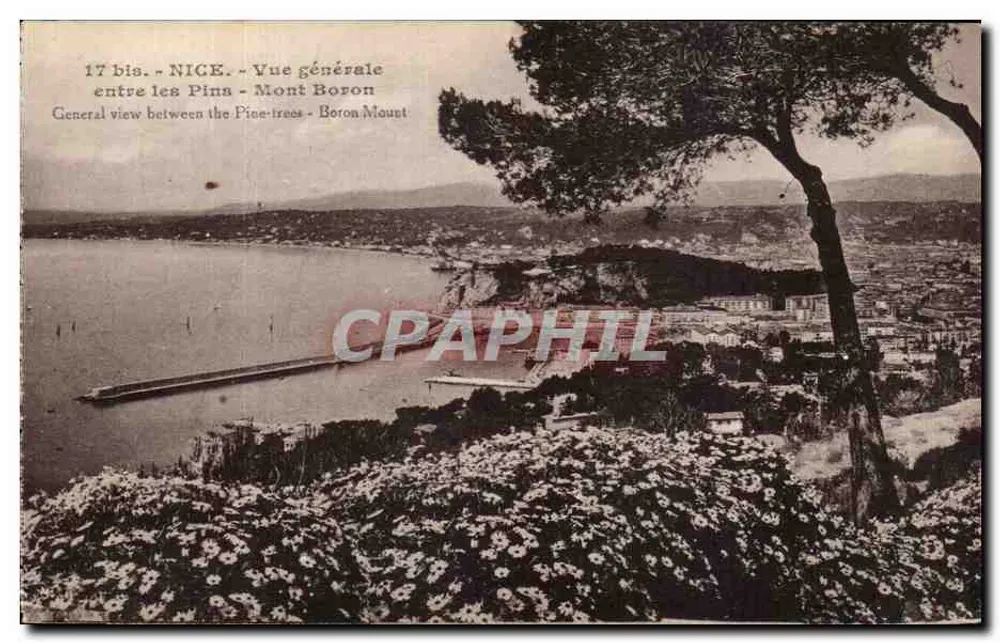 Nice — Allgemeiner Blick zwischen den Kiefern - Mont Boron — J. Gilletta & Cie, Nice - Vorderseite