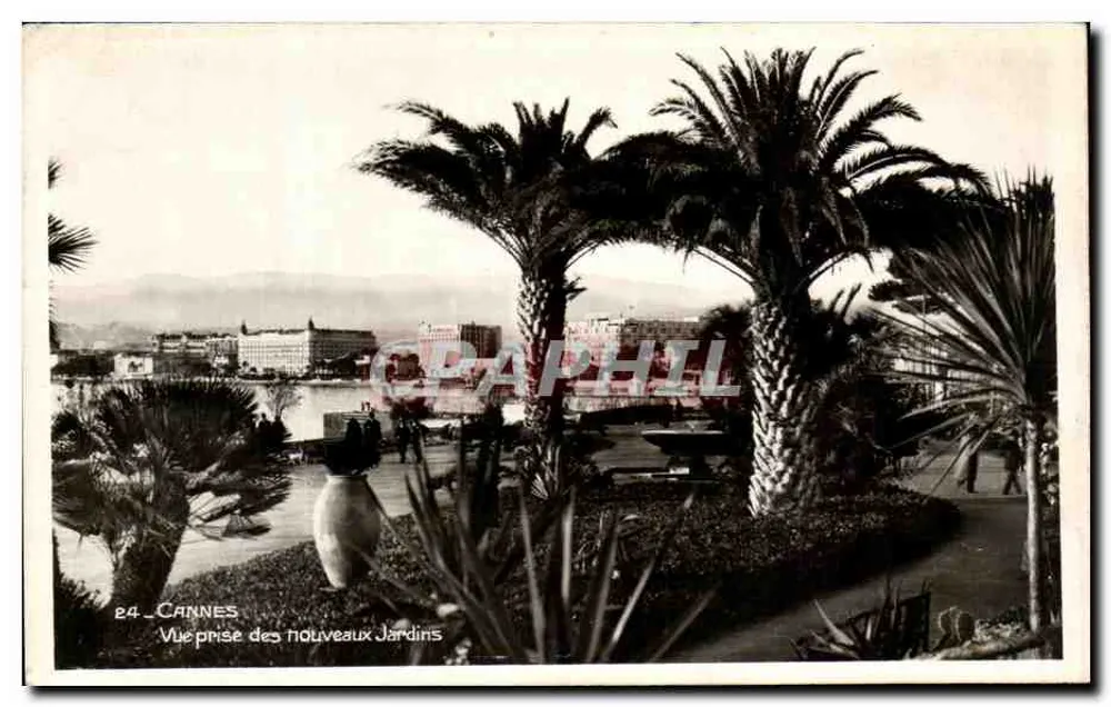 Cannes — Ansicht aus den neuen Gärten — Les Éditions Frank, N°24 - Vorderseite