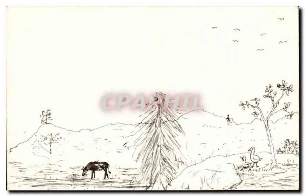Ländliche Landschaft — Kuh, Enten und Vögel — anonyme Ansichtskarte - Vorderseite