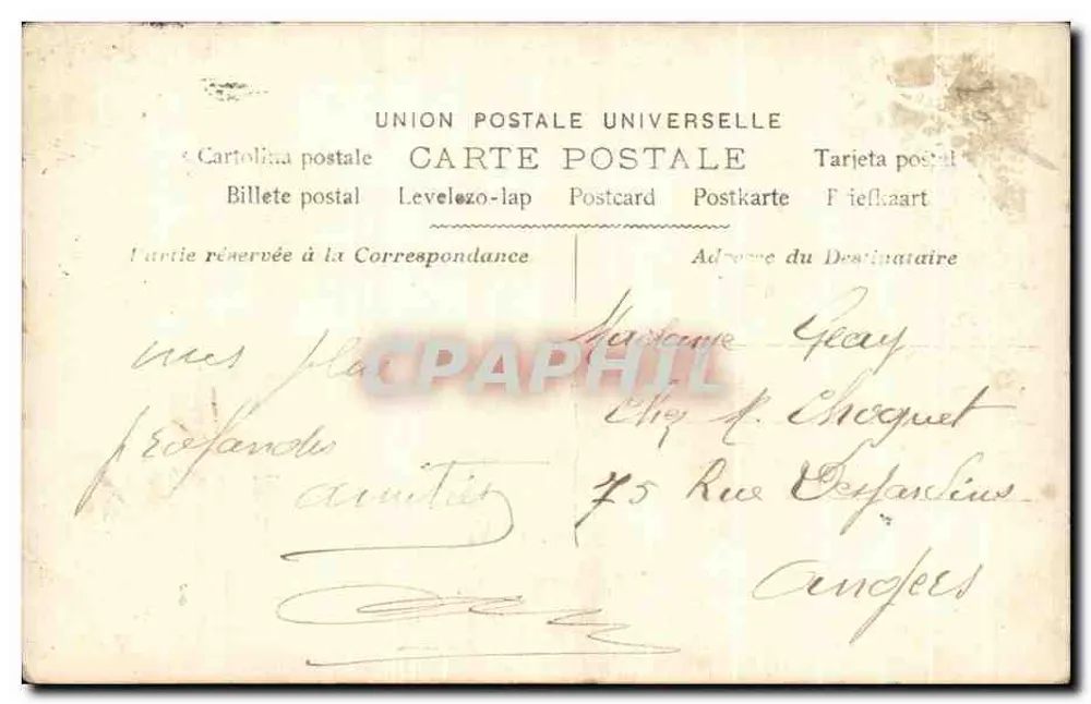 Junge Mann mit Rosenstrauß — Geburtstag — Unbekannter Verlag, Nr. 2130 - Rückseite