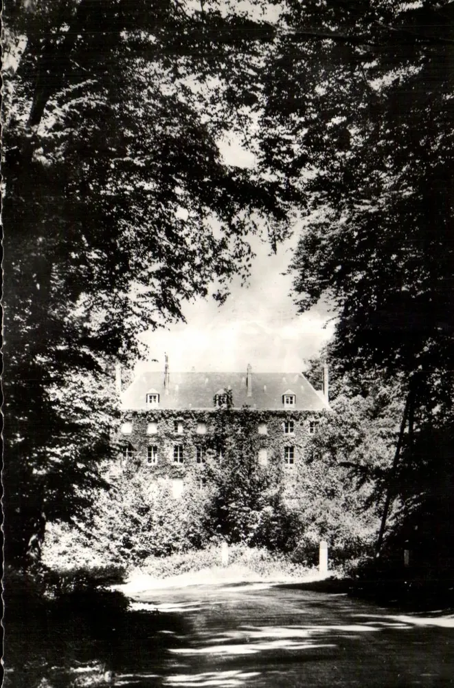 Schloss Sarrebruck — Blick von einem mit Bäumen gesäumten Weg — unbekannter Verlag - Vorderseite