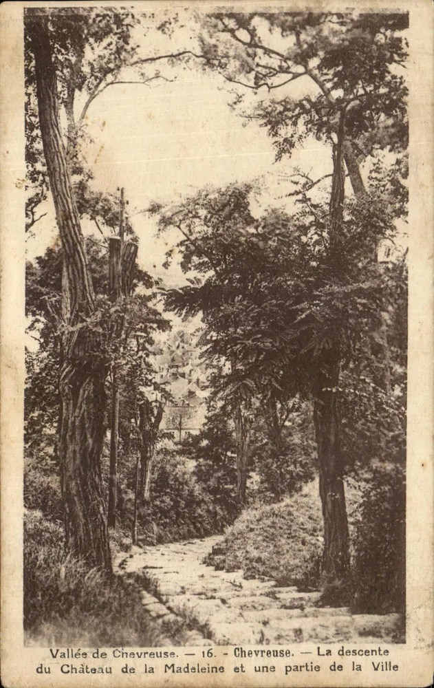 Vallée de Chevreuse — La descente du Château de la Madeleine et une partie de la Ville — Éditeur impr. Chevreuse, n°16 - Vorderseite