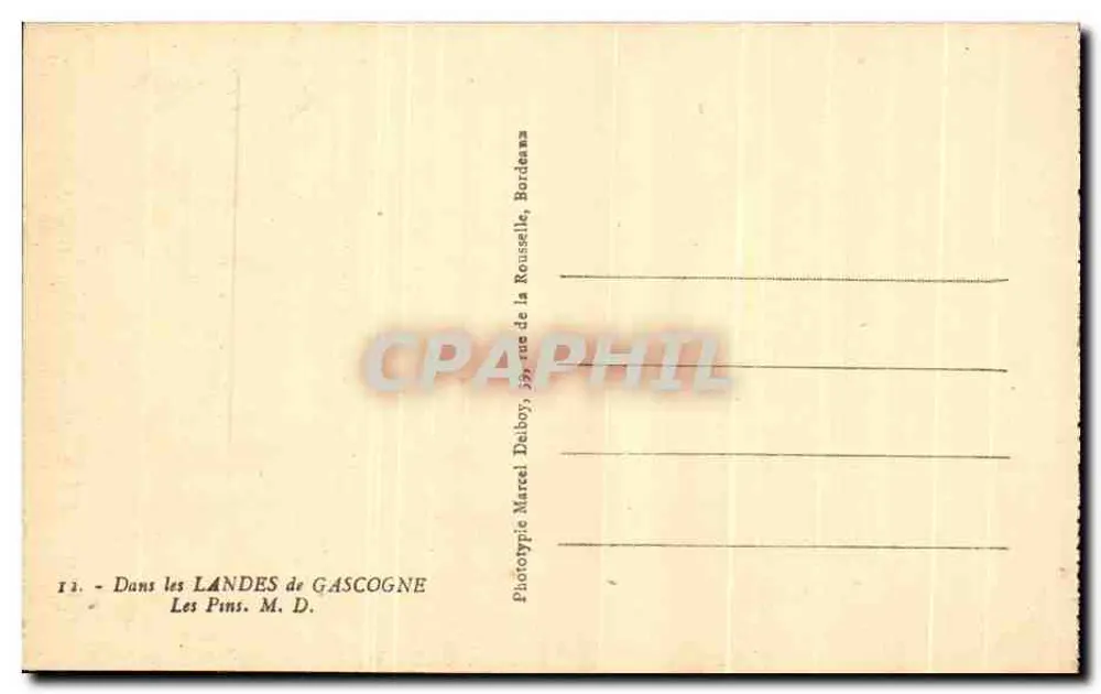 Les Pins — Landes de Gascogne — Phototypie Marcel Delboy, 33, rue de la Roussette, Bordeaux - Rückseite