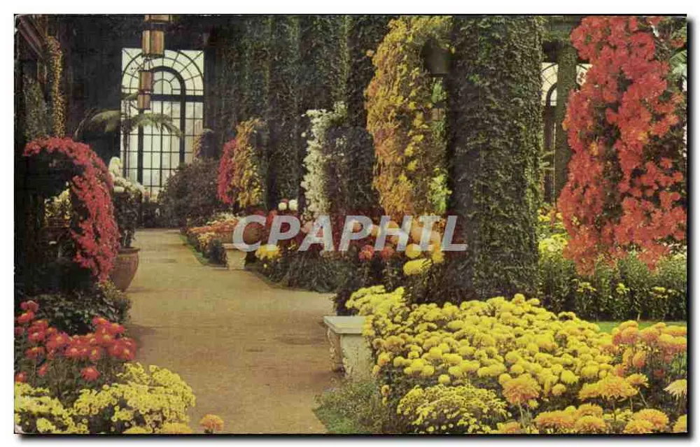 Longwood Gardens — Wyświetlanie chryzantem w głównym ogrodzie botanicznym — Dexter Press, Inc. - Awers
