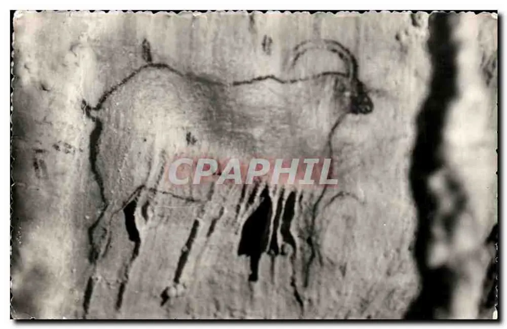 Grotten von Cougnac — Zeichnung eines Steinbocks in Relief — Verlag 'Photo 'Gallo' Gourdon - Vorderseite