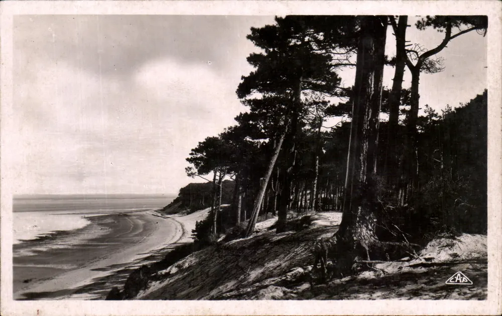 Arcachon - Côte d'Argent — Praia dos Abatilles — editor C.A.P. (C.A.P. Photo - C. P. Sigashbourg) - Frente