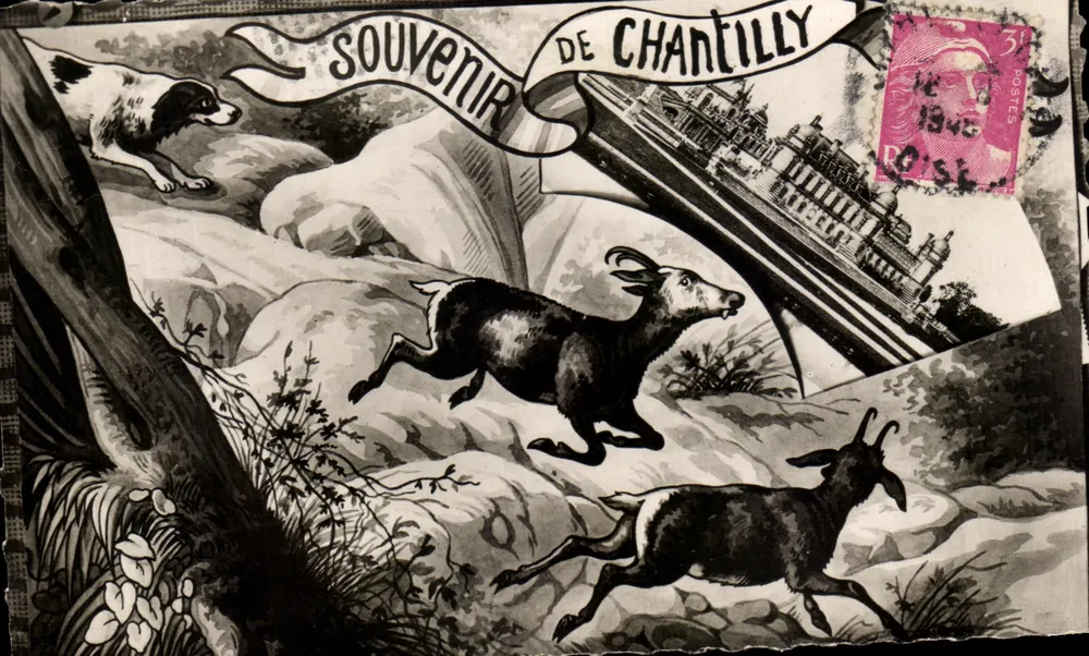 Chantilly — Recuerdo de Chantilly — editor desconocido, n°60 - Anverso