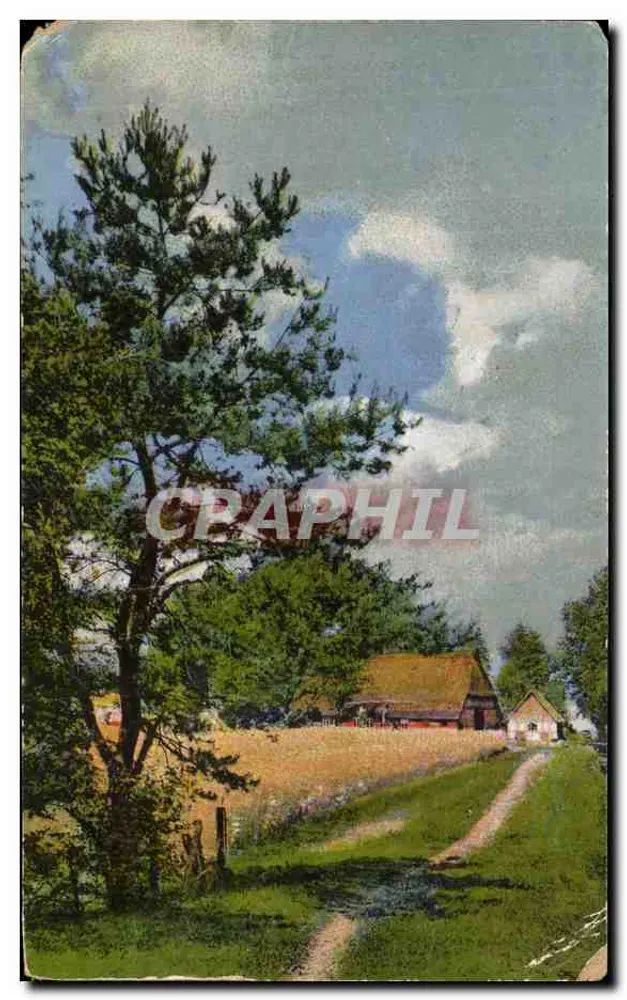 Paysage rural — maison à toit de chaume et chemin de campagne — éditeur RB, série 848/10 - Frente