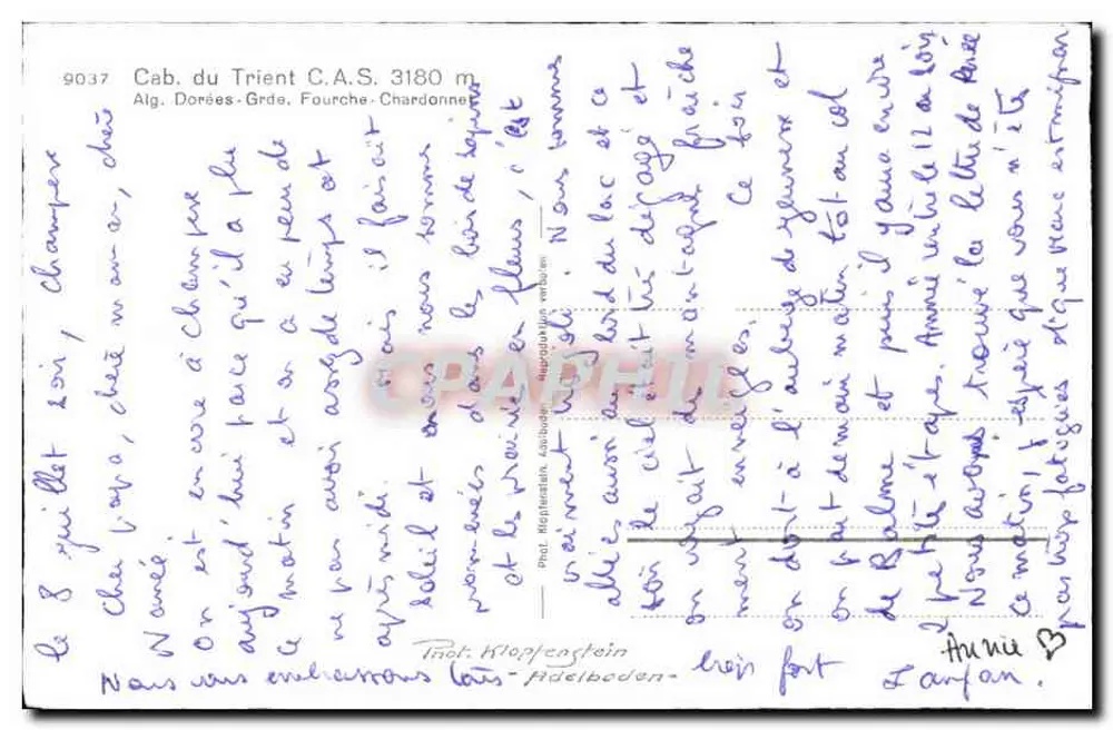 Cab. do Trient C.A.S. 3180 m — Alg. Dorées - Grède - Fourche - Chardonne — editor Phot. Klopfenstein - Fidelboden - Verso