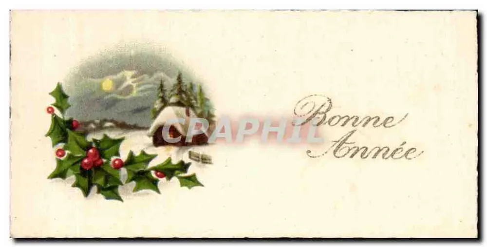 Winterlandschaft mit Tannenbaum und Haus — Frohe Weihnachten — unbekannter Verlag - Vorderseite