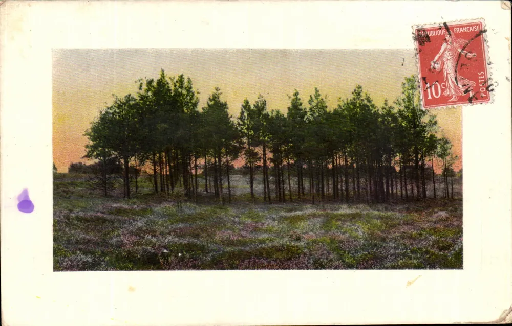 Floresta de pinheiros — campo de flores — República Francesa, 10c - Frente