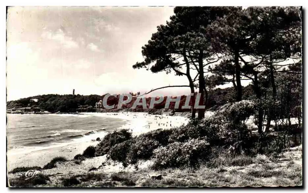 Praia do Platina — Saint-Palais-sur-Mer — Réni-Photo - Frente