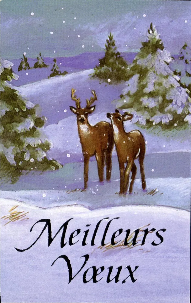 Dois cervos na neve — Melhores Votos - Frente