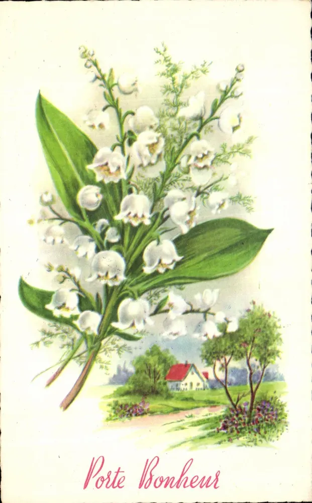 Lírio do vale — Porta da Felicidade — R. Hamel, n° 174 - Frente