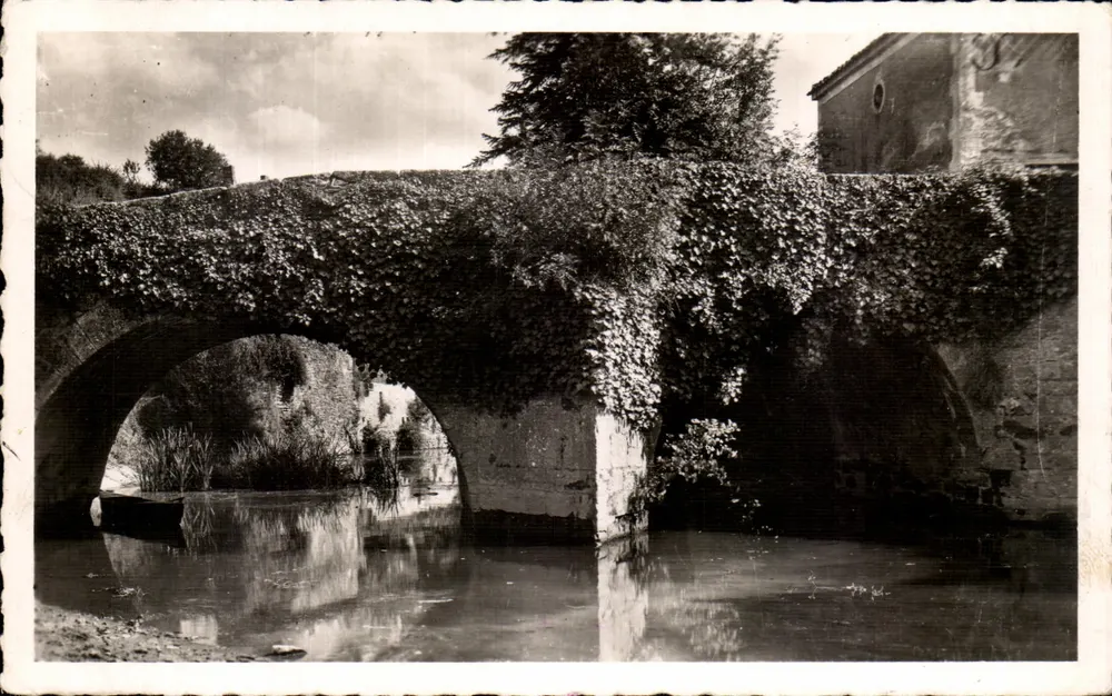 Vouvant (Vendée) — Der alte Brücke über die Mère, gallo-römische Zeit — E. G. Paris, Nr. 14 - Vorderseite