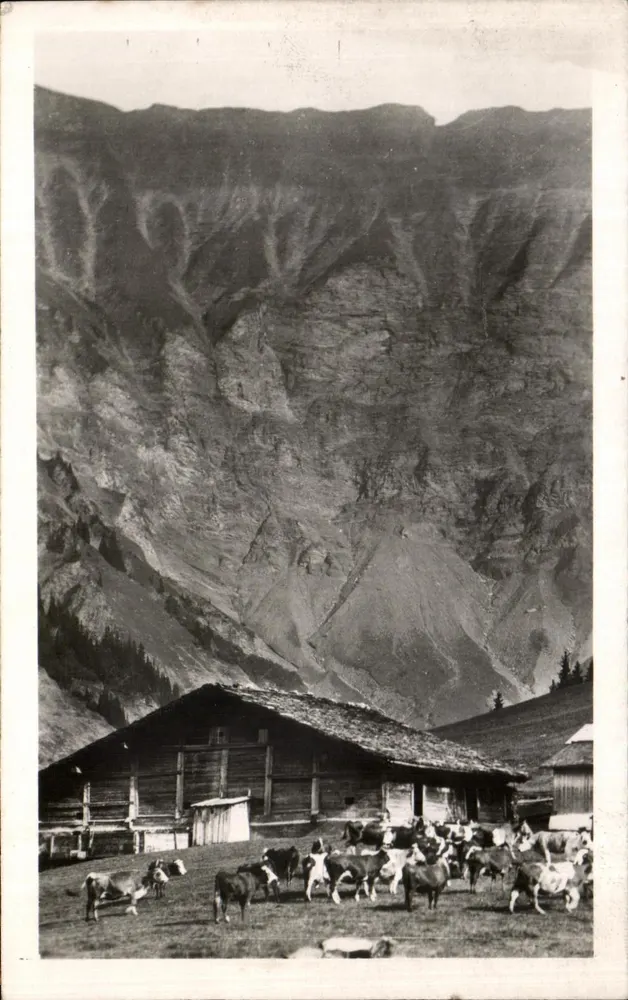 Alpine Weide in Savoie unter den Gipfeln der Joly-Kette — L. MORANT, Mégeve - Vorderseite