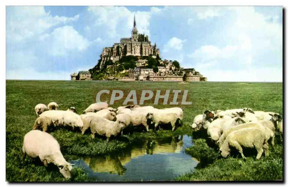 Mont Saint-Michel — Schafe in den Salzmooren — Les Éditions du Gabier - Vorderseite