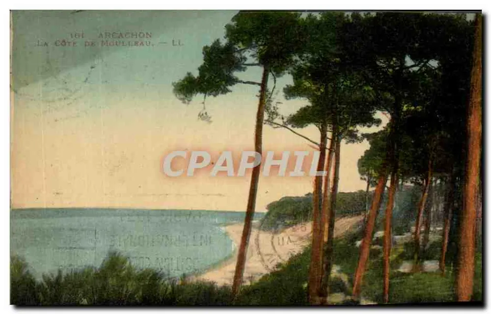 A Costa de Moulleau — Arcachon — LL n°101 - Frente