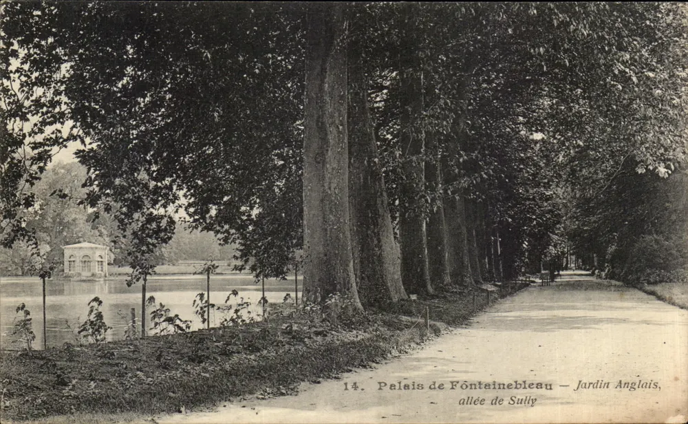 Schloss Fontainebleau — Englischer Garten, Avenue de Sully — n°14 - Vorderseite