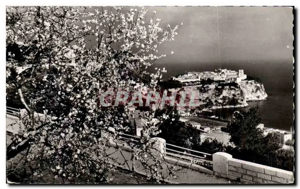 Monaco — Ansicht der blühenden Küste — Verlag Touring International Photo - Vorderseite
