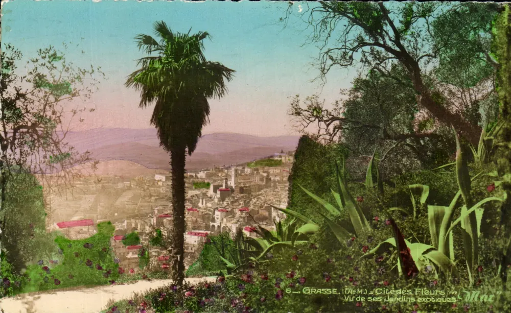 Grasse (Alpes-Maritimes) — Ansicht ihrer exotischen Gärten — "Max" - Vorderseite