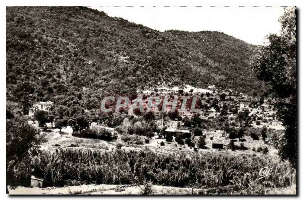 Vue générale du camping de Cap Negre — Env. de Cavalière — éditeur Cie des Arts Photographiques, Paris - Vorderseite