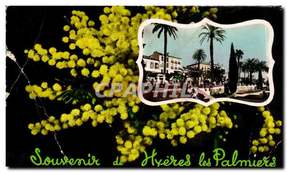 Hyères les Palmiers — vue d'un établissement bordé de palmiers — Éditions Françaises - Frente