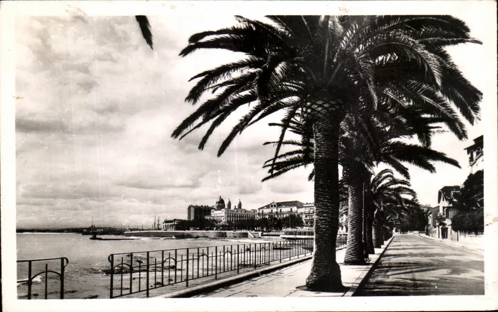 Saint-Raphaël — De Promenade des Palmiers — Uitgever C.A.P. n°28 - Voorkant