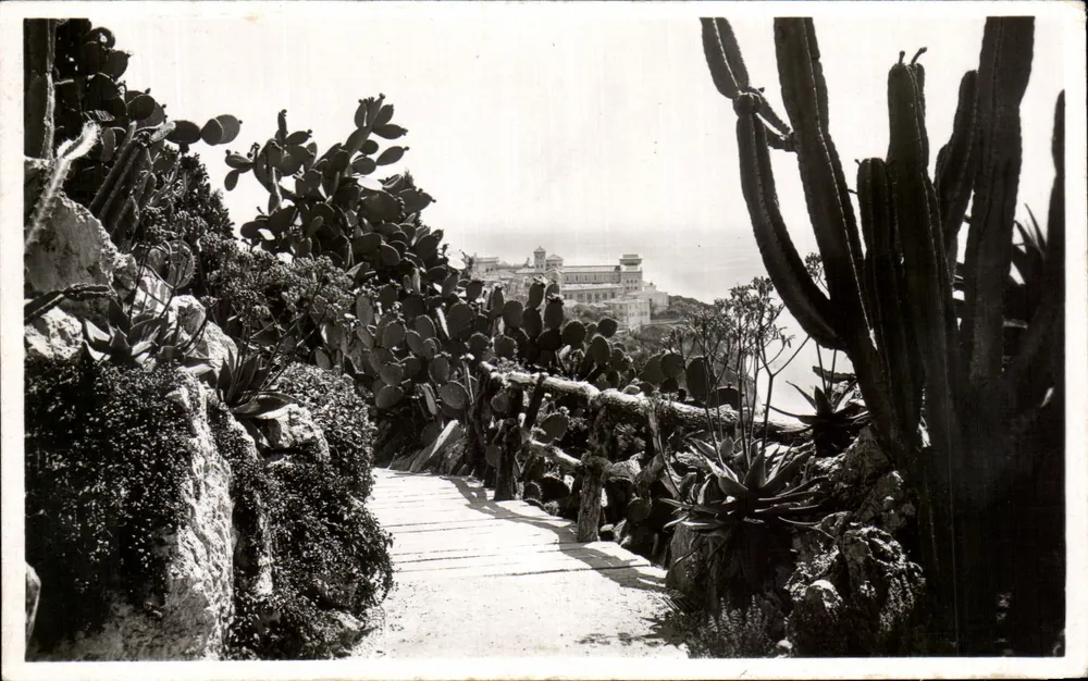 Mônaco — Jardins Exóticos — Éditions Lacigogne - Frente