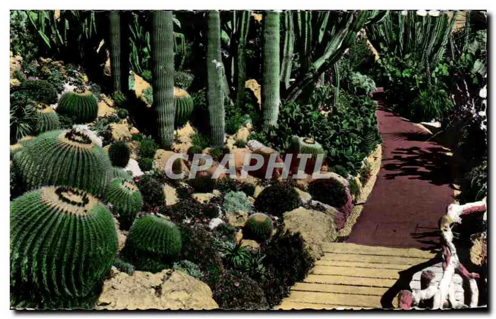 Jardin Exotique de Monaco — der Brücke über Echinocactus grusonii — Édition du Jardin Exotique de Monaco - Vorderseite