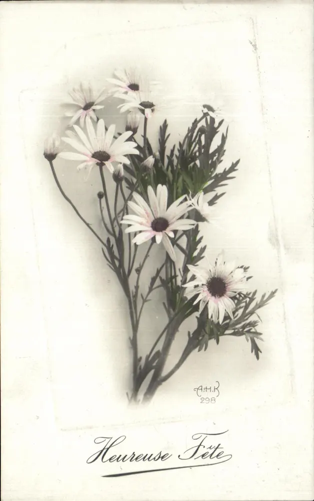 Blumenstrauß aus Margeriten — 'Glückliche Feier' — A.H.K. n°298 - Vorderseite