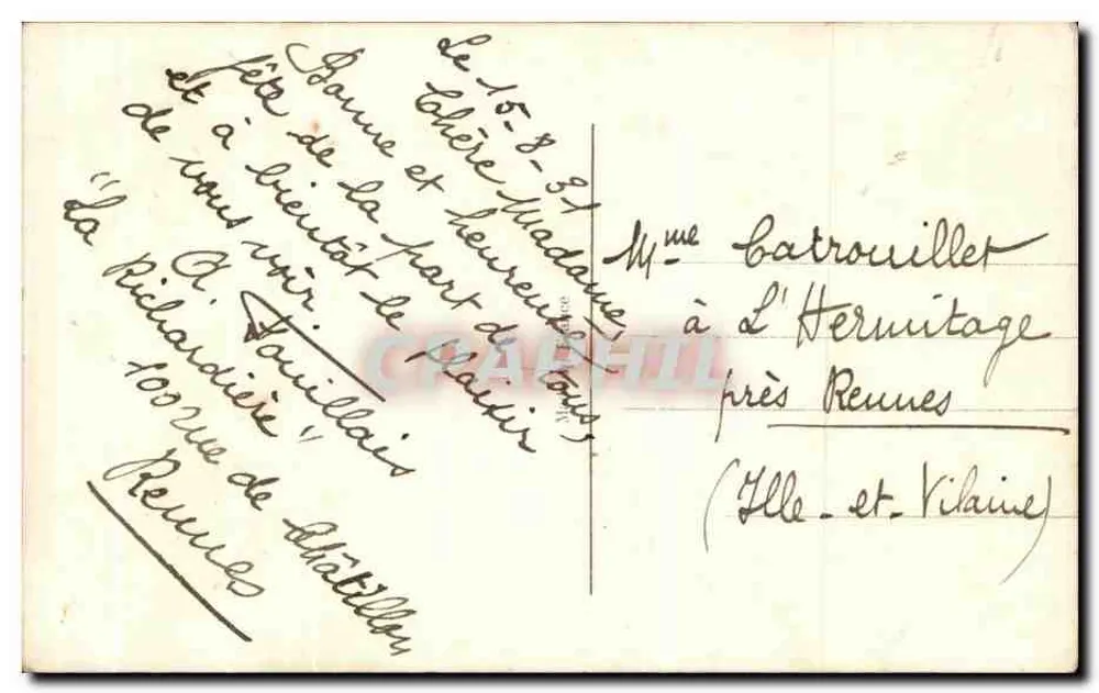 गुलाब के फूल — ग्रामीण दृश्य — REX 2422 - पीछे