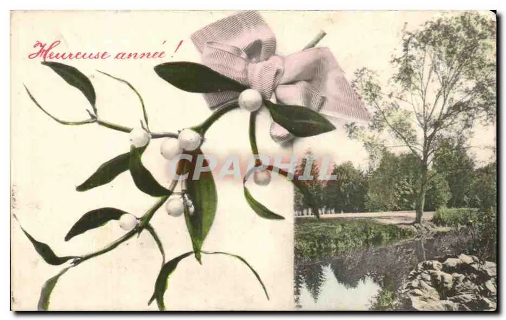 Mistral — Vignete de videira — A.S. Serie 316 - Frente