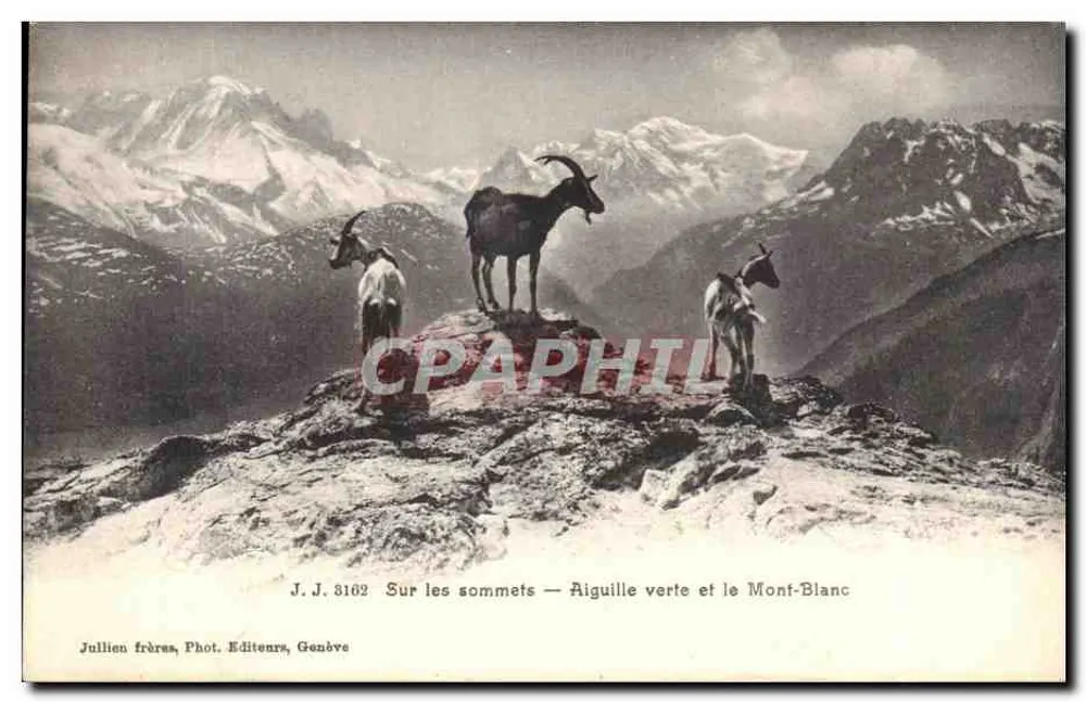 Auf den Gipfeln — Grüne Nadel und Mont-Blanc — Jullien frères, Phot. Verleger, Genf, n° J.J. 3162 - Vorderseite