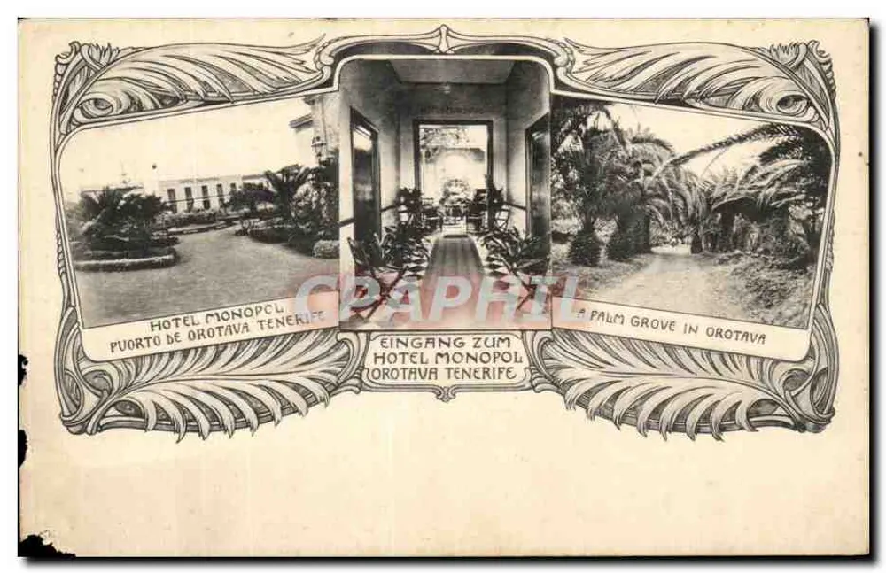 Hôtel Monopol — vue de l'entrée et du jardin de palmiers à Puerto de Orotava — éditeur non visible - Vorderseite