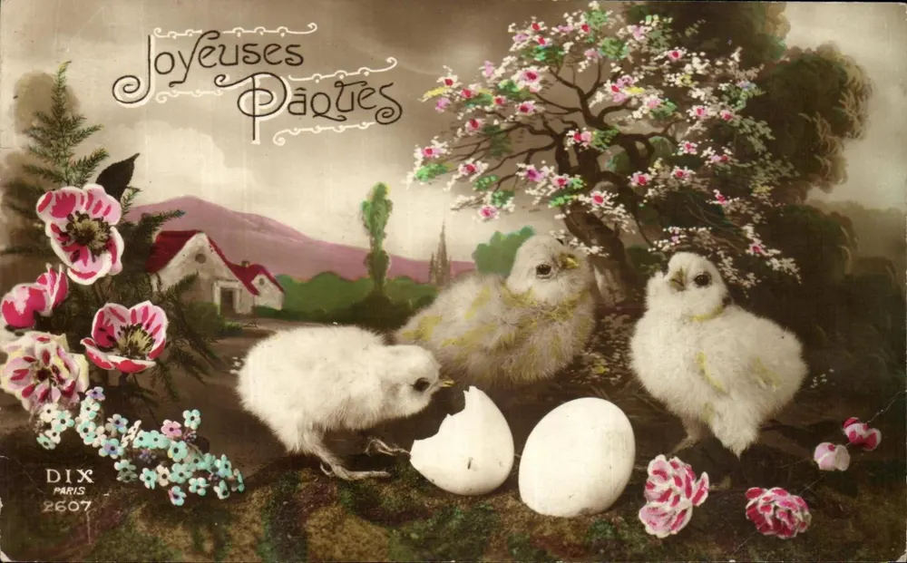 Küken und Blumen — Frohe Ostern — DIX PARIS 2607 - Vorderseite