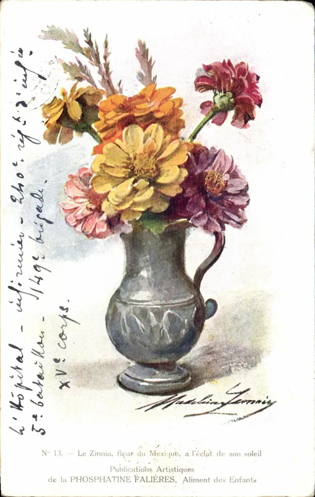 Zinnia, Blume Mexikos, im Glanz ihrer Sonne — Publications Artistiques de la PHOSPHATINE FALIÈRES, Nahrung für Kinder — Nr. 13 - Vorderseite