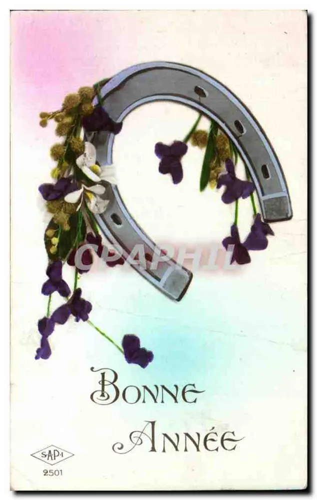 Horseshoe décoré de fleurs — Bonne Année — SAP 2501 - Vorderseite