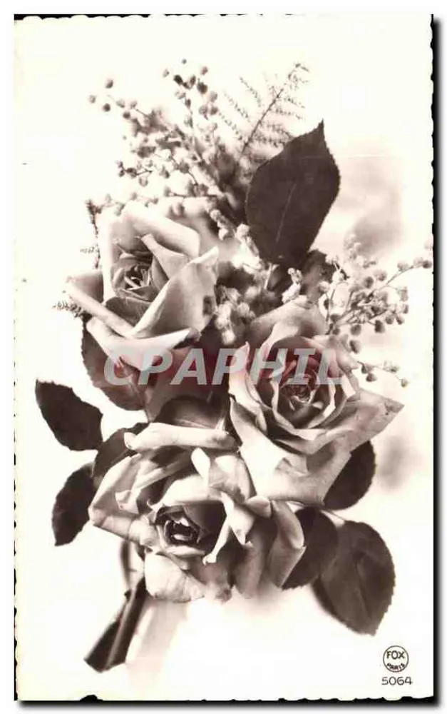 Bouquet de roses — composition florale — éditeur FOX PHIL 5064 - Frente
