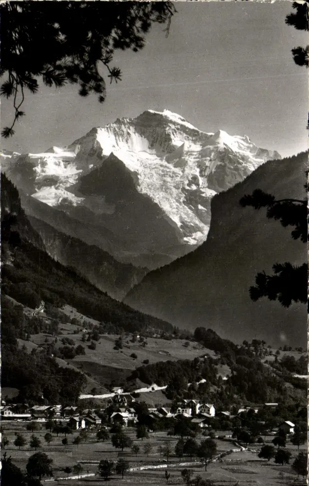 Wilderswil com Jungfrau — vista panorâmica — Verlag H. Steinhauser, Interlaken, n° 1174 - Frente