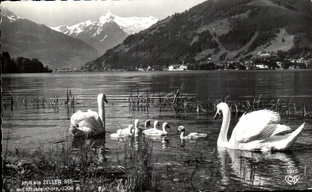 Idyll am ZELLER SEE — mit Kitzsteinhorn, 3204 m — Verleger Echite Photographie, Nr. 22 - Vorderseite