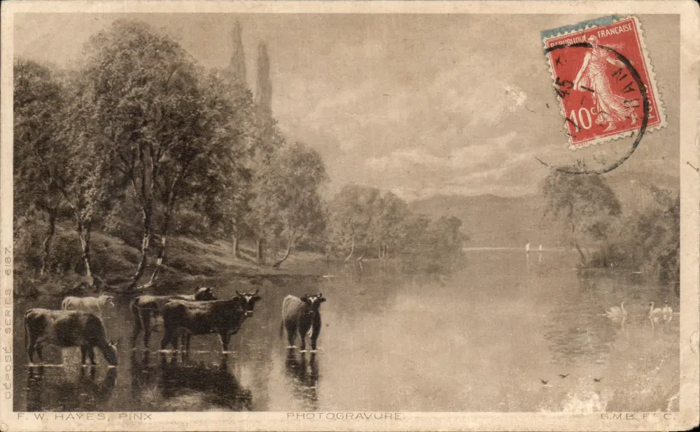 Cows in a river — landscape with trees and swans — F. W. Hayes, PINX, Photogravure - Frente