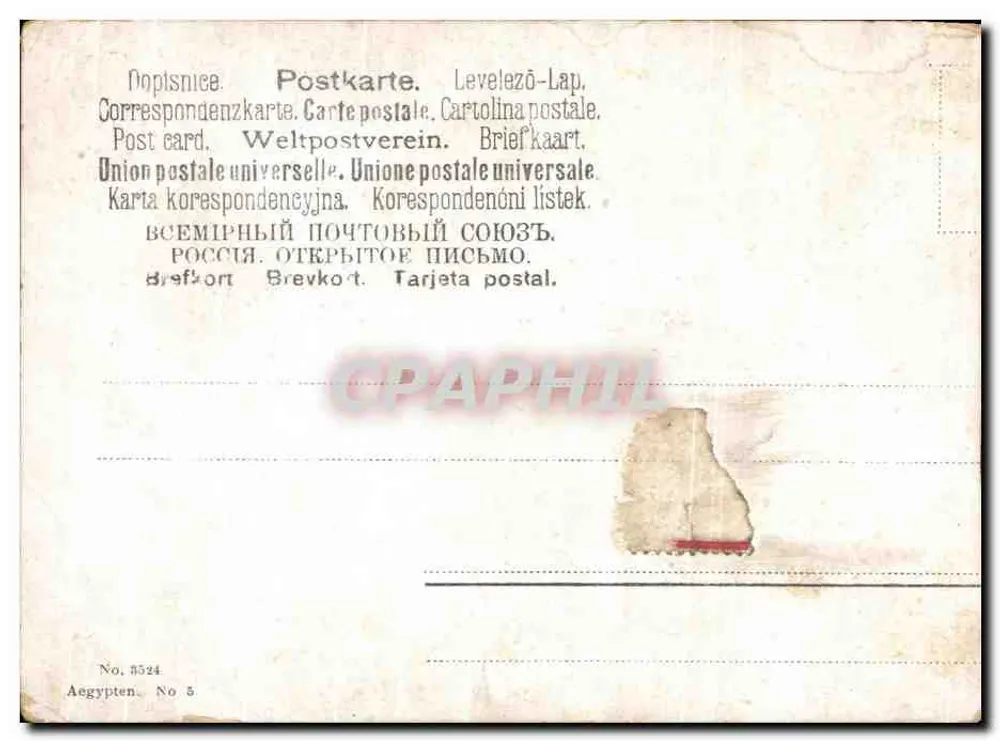Temple de Louxor — scène nocturne avec colonnes et dromadaire — F. Pontiere - Back
