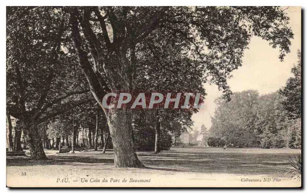 Pau — Un Rincón del Parque de Beaumont — Colecciones ND Phot - Anverso